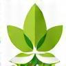 Leaf icon representing organic ingredients.